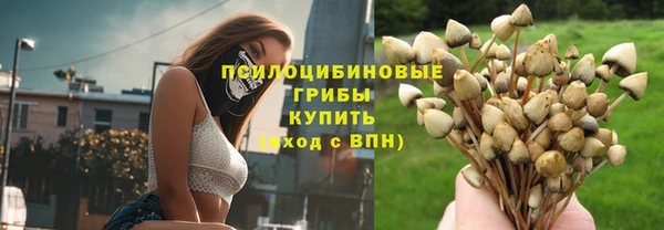 2c-b Абаза