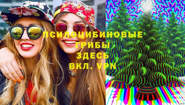 PSILOCYBIN Абинск